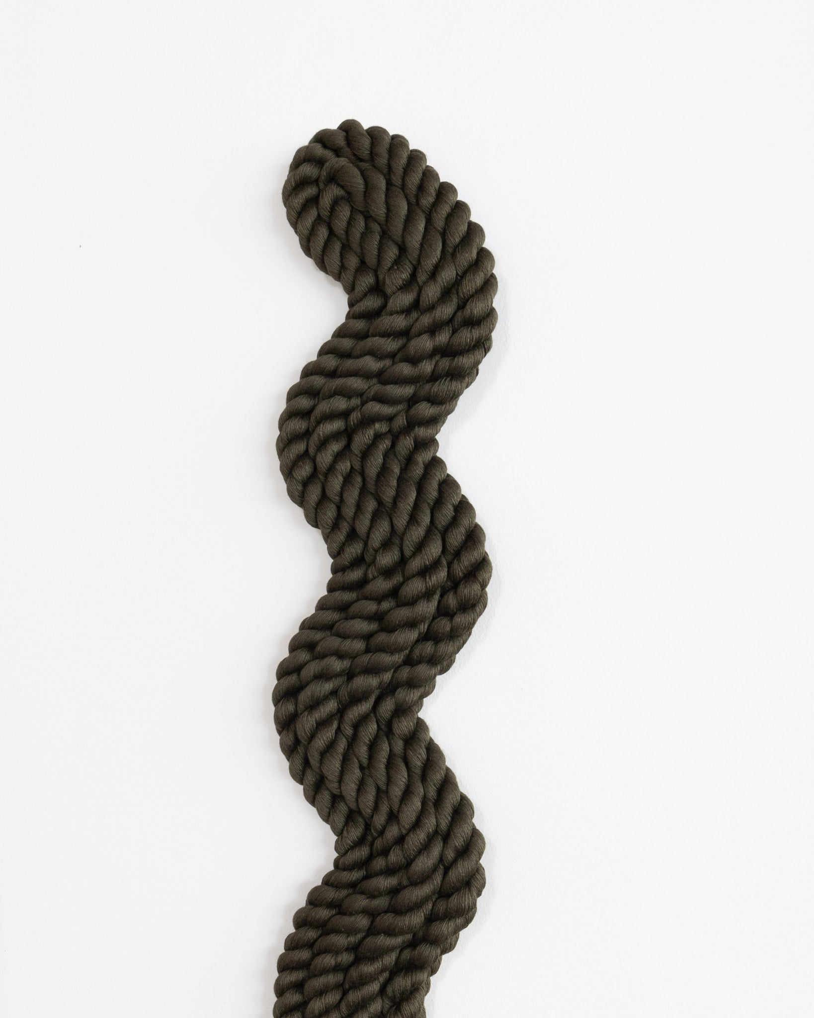 Vertical Rope Squiggle
