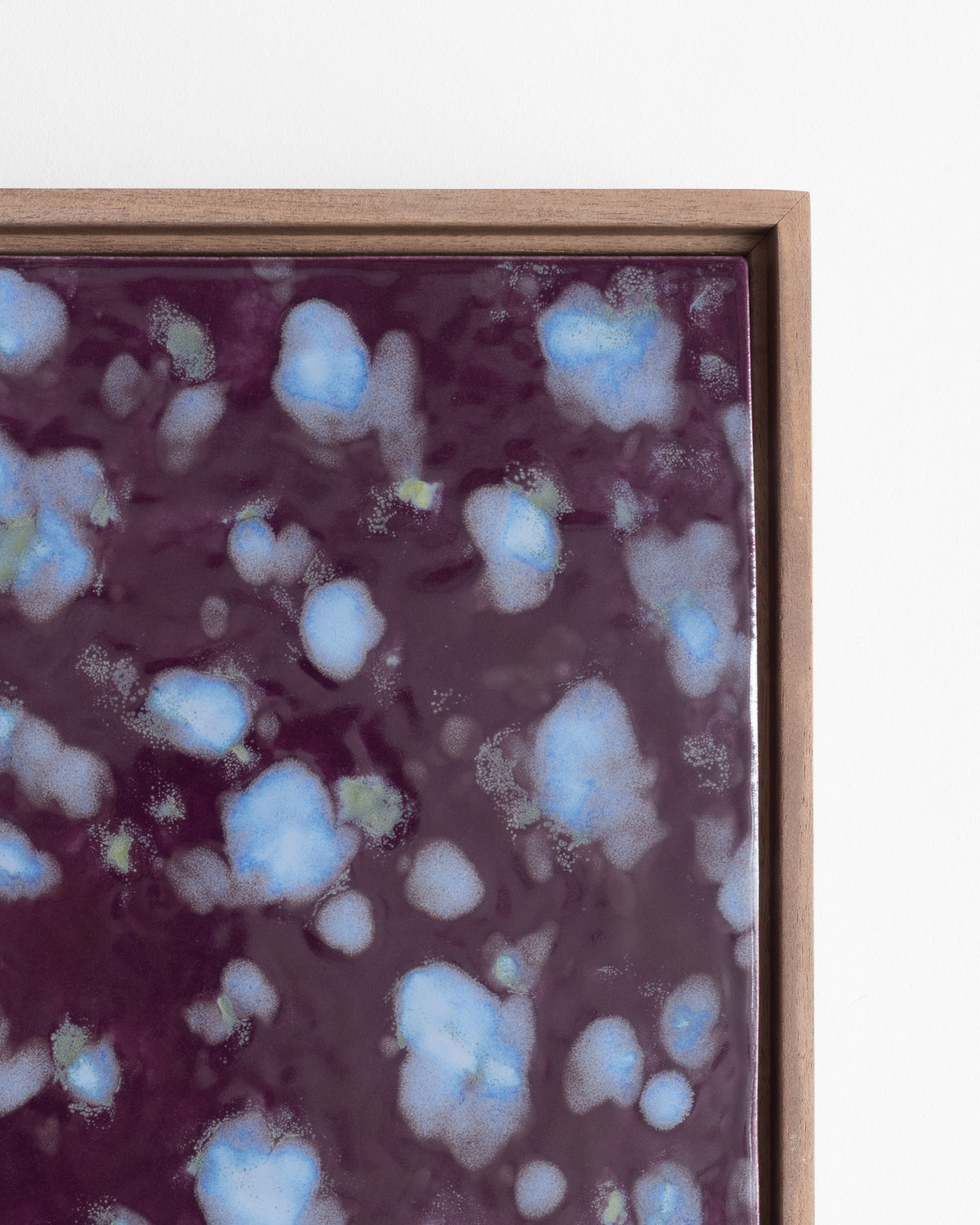 Close-up detail of "Snow on Petals" showing pale blue petals on a burgundy surface