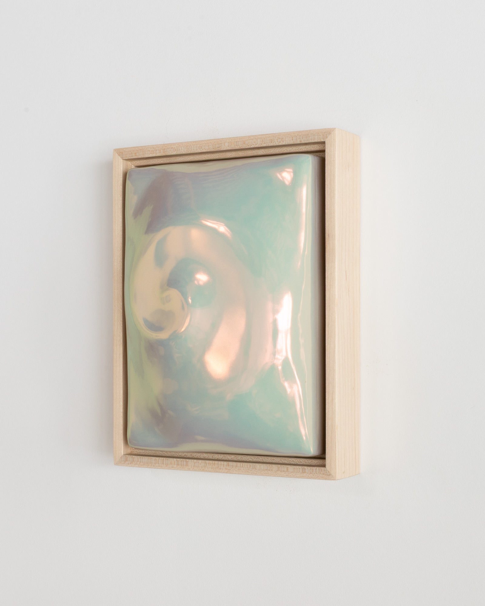 Nautilus in Light Iridescent