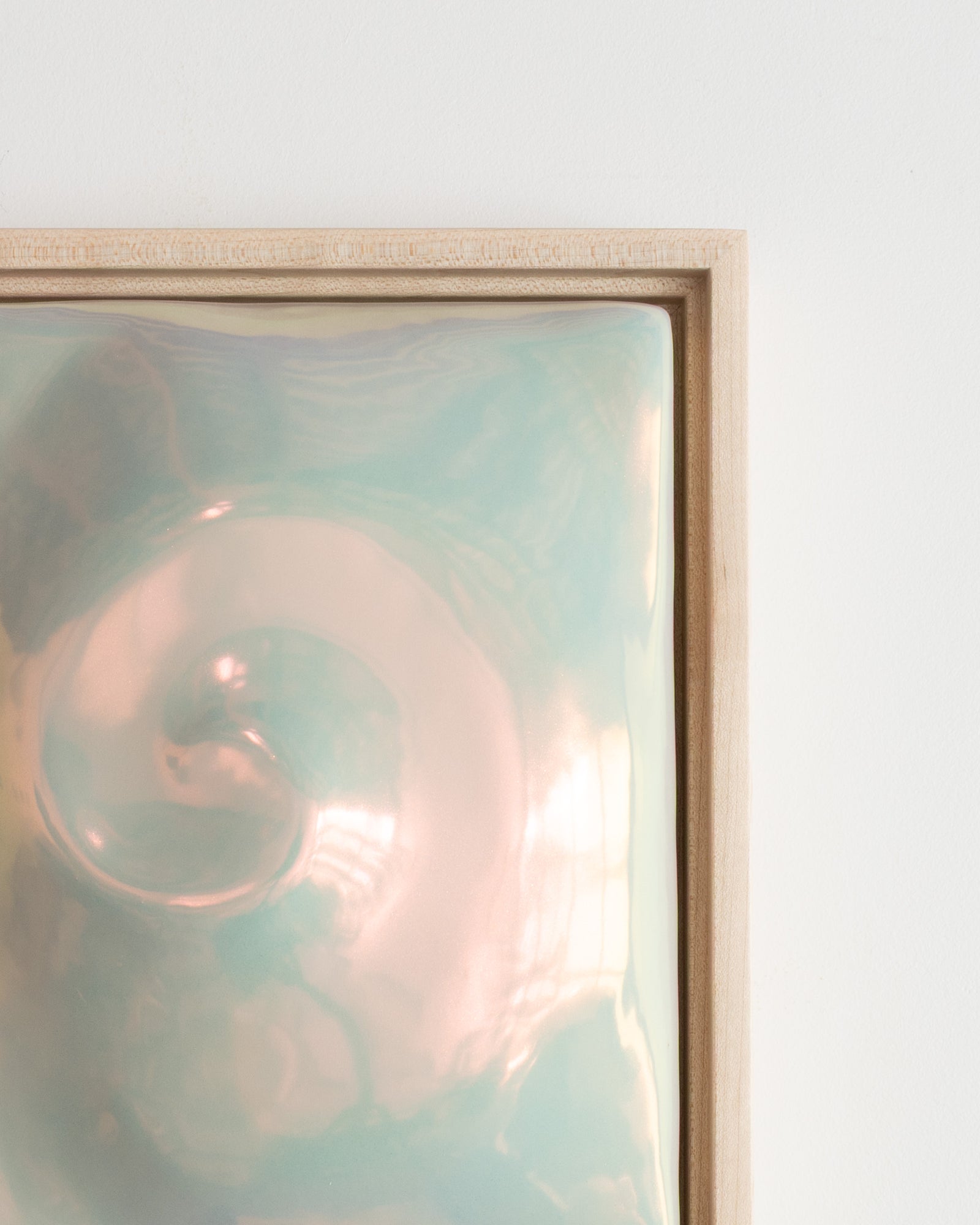 Nautilus in Light Iridescent