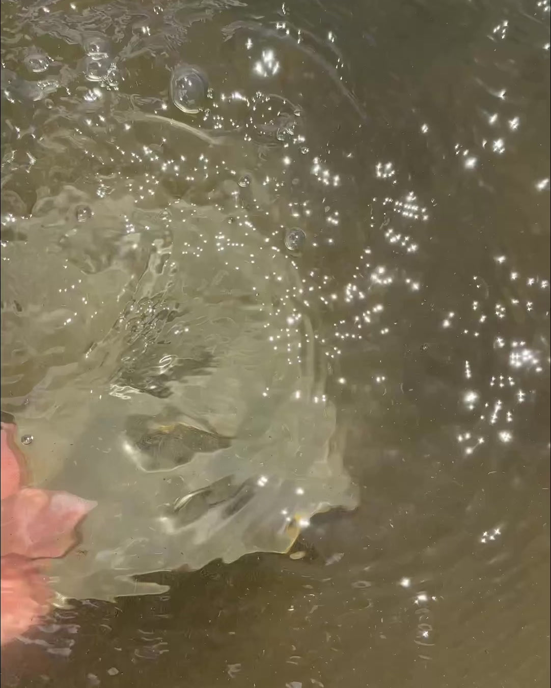 Video of rippled water with sunlight reflected on the surface